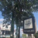 카프아일랜드 | 여수여행 여수숙소 [카프아일랜드] 여수펜션 여수가성비 펜션추천 여수가성비 숙소 내돈내산 여수 검은...
