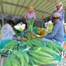 단구1리 이미지