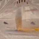 치킨플러스 | 내돈내산 인천 가성비 배달 맛집 치킨플러스 인천을왕리점 솔직후기