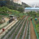 내서읍647 이미지