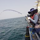 또오이소 이미지