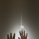 테라폴리스를 찾아서> 다이애나밴드, 박형렬, 배윤환, 이끼바위쿠르르, 위켄드랩, 플라스틱노리터, 황선정