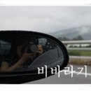 우리들약초마을