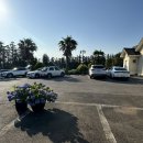 스파벨리스 | 제주 조천 조식 포함 가성비 좋은 예쁜 스파벨리스 애견동반 펜션