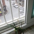 거창-남상-10 이미지