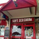 제주써니 이미지