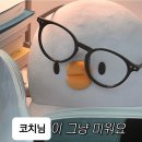 크로스핏 스프링캠프 이미지