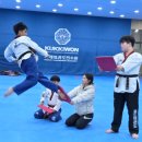 진주태권도장 이미지