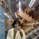 멍이맘&대디 | 신사 팔뚝 지방분해주사 가격 잘하는 곳 2회차 내돈내산 솔직 후기