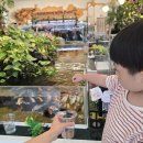 엔젤아쿠아펫가든 | 군산 엔젤아쿠아펫가든&amp;만월경｜비오는 날 가볼만한 실내체험 물고기카페