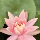 둔산연세치과의원 이미지