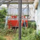 덕진-111 이미지