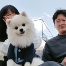 남예천농협 하나로마트 이미지