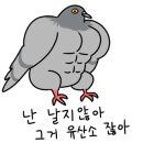 일등수산 이미지