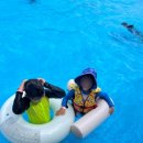 왕대골마을 이미지