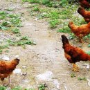 숲실의 집 이미지