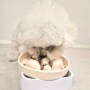 프리독 | [내돈내산]가수분해 단백질 알러지 사료｜이즈칸 독 알러지프리 급여 후기 🐶