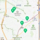 책나무수지상현독서논술학원