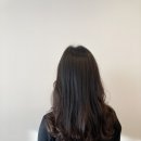 유진헤어비스