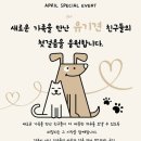 퍼밀리