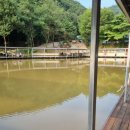 비봉 낚시터 이미지