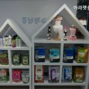 아라펫살롱 네이버블로그