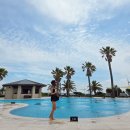 웰빙할인마트 | 제주도 서귀포 숙소 제주 해비치 리조트 이용후기