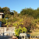 소곡보건진료소 이미지