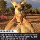 바디채널 첨단점 | 광주 헬스장 추천! 짐플릭스 첨단점 2년째 다니는 이유 (내돈내산 후기)