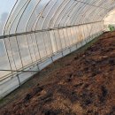 임상호농장 이미지