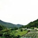 다보부동산중개사무소 이미지