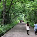 산책길 이미지