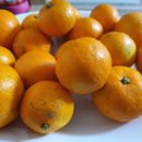 해님농장 이미지