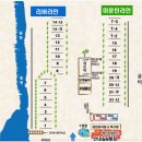아이비매점 티스토리