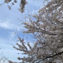 운천농장 이미지