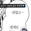 삼멍삼냥 네이버블로그