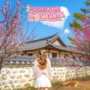 율곡어린이공원 | 강릉 당일치기 여행 코스 오죽헌 허균허난설헌 기념공원 매화 명소