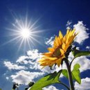 내려놓음 이미지