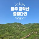 ㈜미래관광 | 파주 감악산 출렁다리 코스 가까운 주차장 소요시간 초보등산 추천