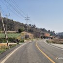 땅끝공인중개사사무소 이미지