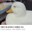 썸네일 - 울주군 온양로 23 | 썸네일