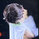 홀리데이호