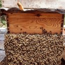 꼴짝농장 이미지