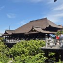 다인 행정사사무소 이미지