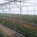 선규농장 이미지