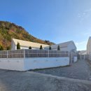 까르르멍멍 | 애견동반 가능에 자쿠지+수영장까지? 완주펜션 피에스타44 직접 다녀온 후기