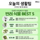 건조한 사무실에 두기 좋은 반려 식물 BEST 5 이미지