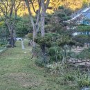 덕산3태양광 이미지