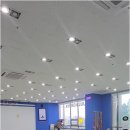 줄노리야글로벌점