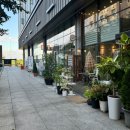 키튼히얼 고양이분양 김포본점 이미지